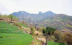 山里的春天